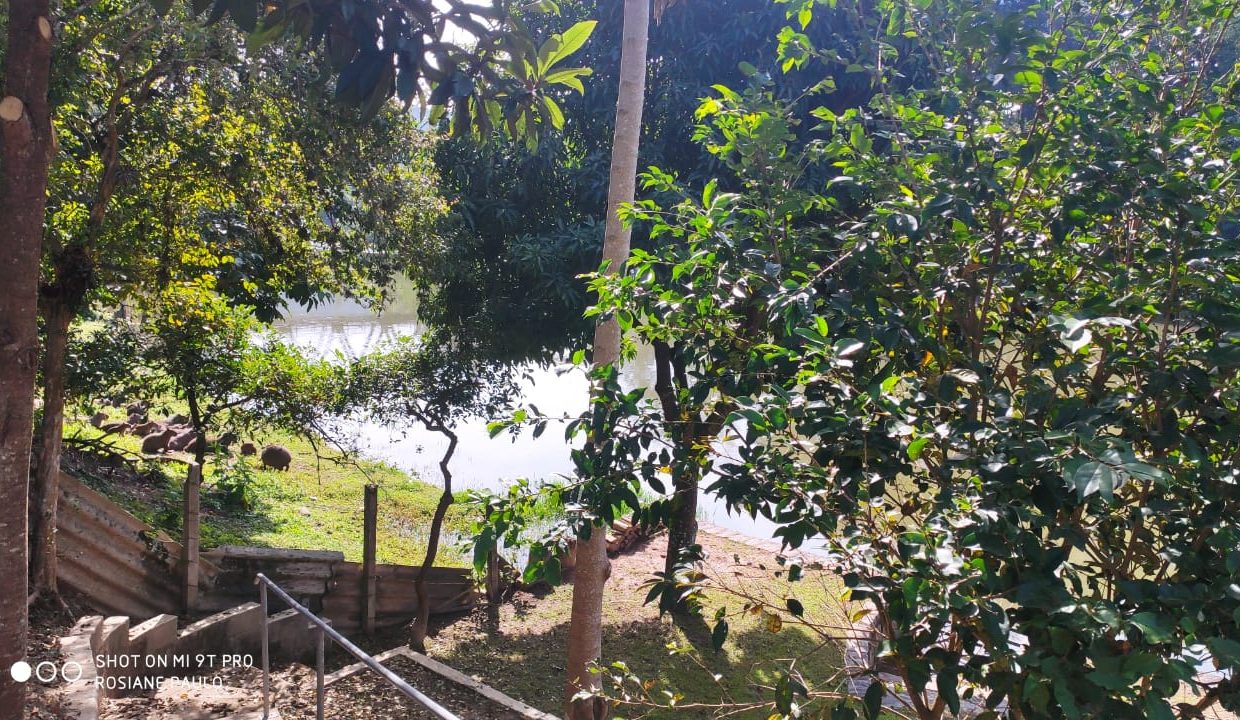 WhatsApp Image 2020-06-15 at 13.45.43 (1)