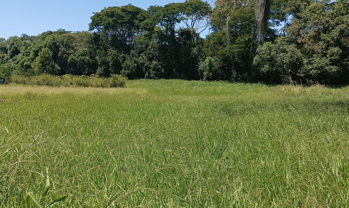 WhatsApp Image 2023-01-26 at 11.50.10