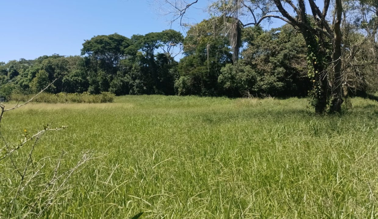 WhatsApp Image 2023-01-26 at 11.50.15 (1)