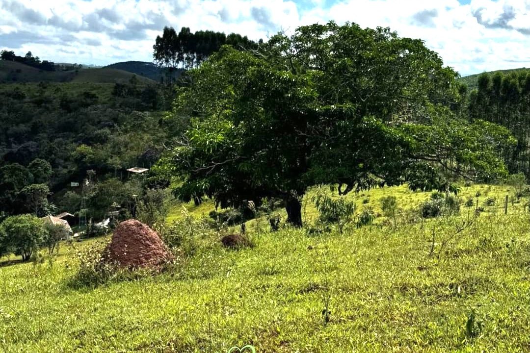 WhatsApp Image 2025-03-20 at 14.41.16 (1)