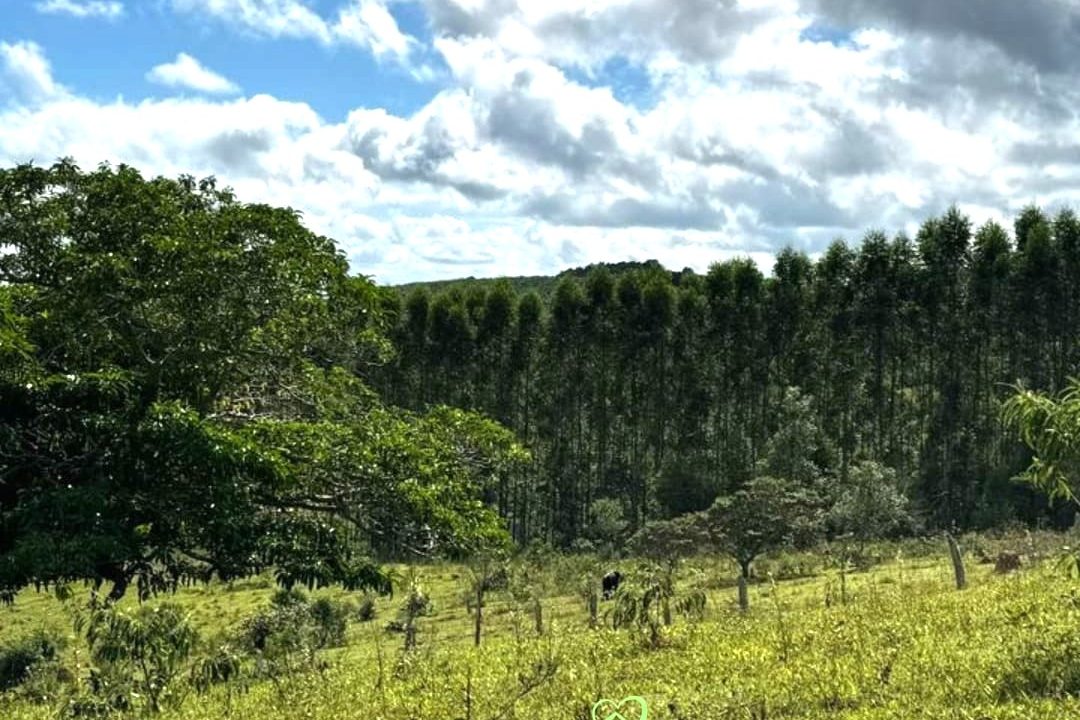 WhatsApp Image 2025-03-20 at 14.41.16