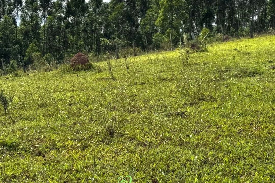 WhatsApp Image 2025-03-20 at 14.41.16 (2)