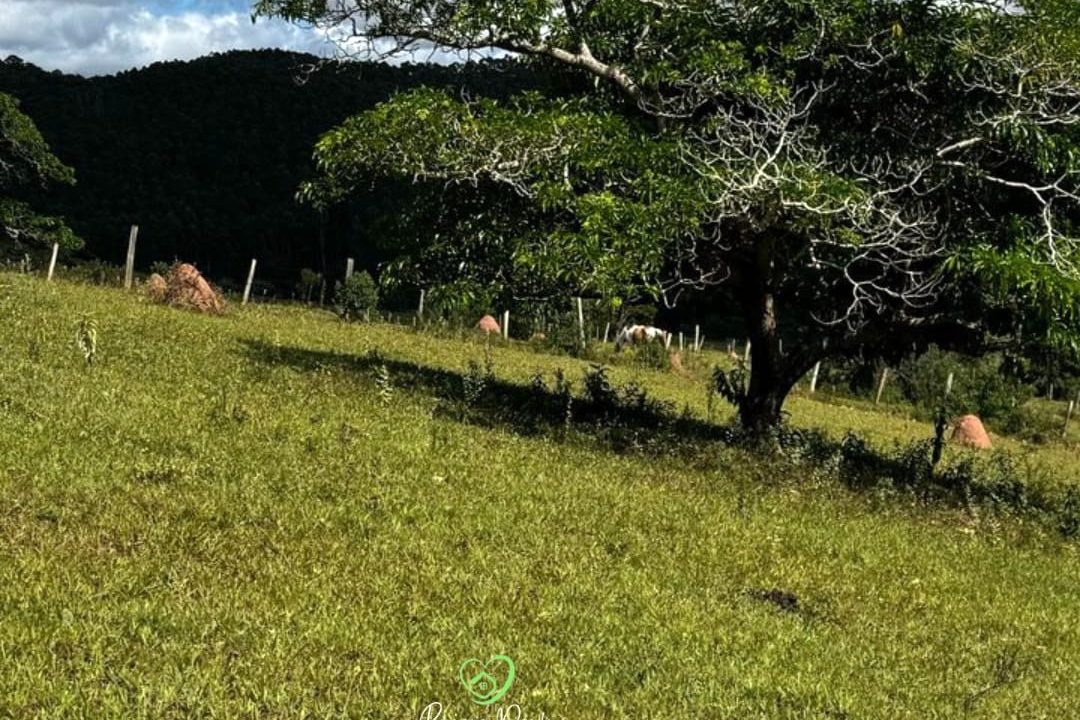 WhatsApp Image 2025-03-20 at 14.41.17 (1)