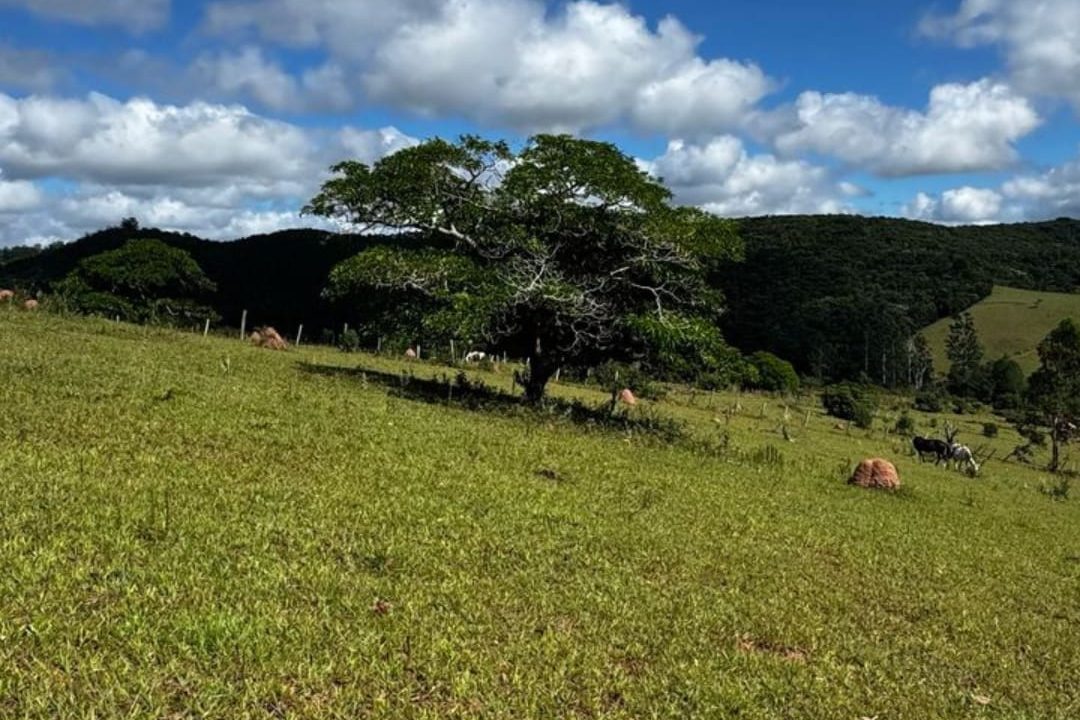 WhatsApp Image 2025-03-20 at 14.41.17