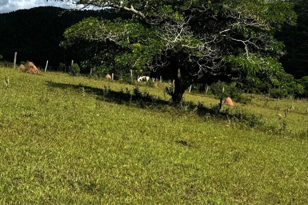 WhatsApp Image 2025-03-20 at 14.41.17 (2)