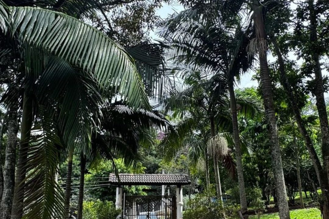 WhatsApp Image 2025-03-27 at 12.45.46