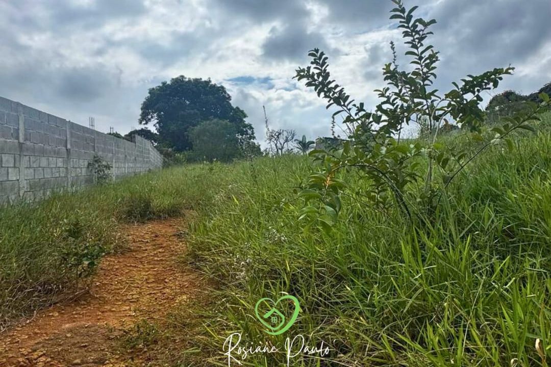 WhatsApp Image 2025-03-31 at 16.54.12