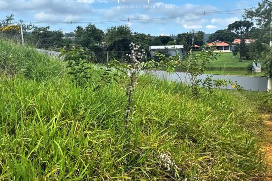 WhatsApp Image 2025-03-31 at 16.54.14