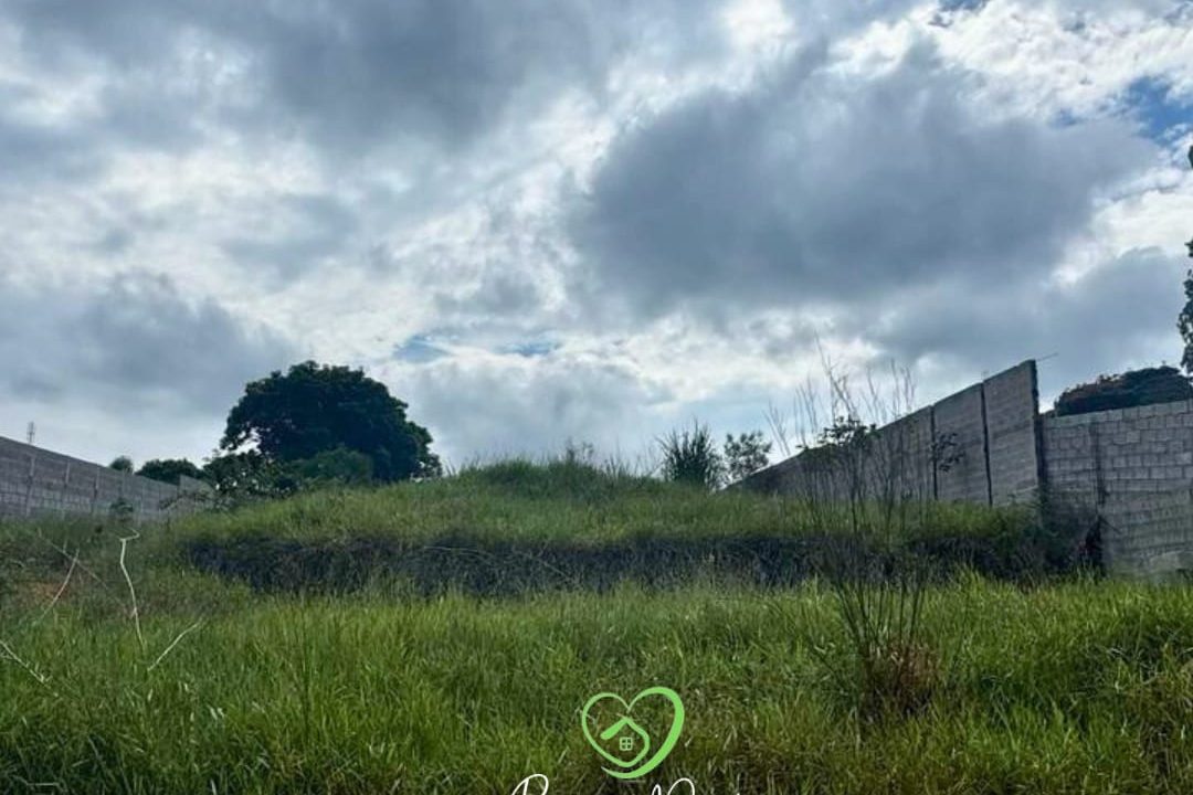 WhatsApp Image 2025-03-31 at 16.54.14 (2)