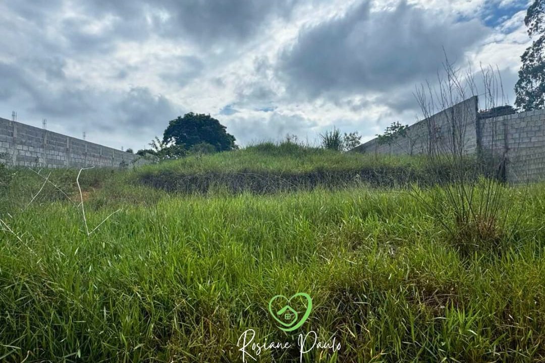 WhatsApp Image 2025-03-31 at 16.54.14 (3)