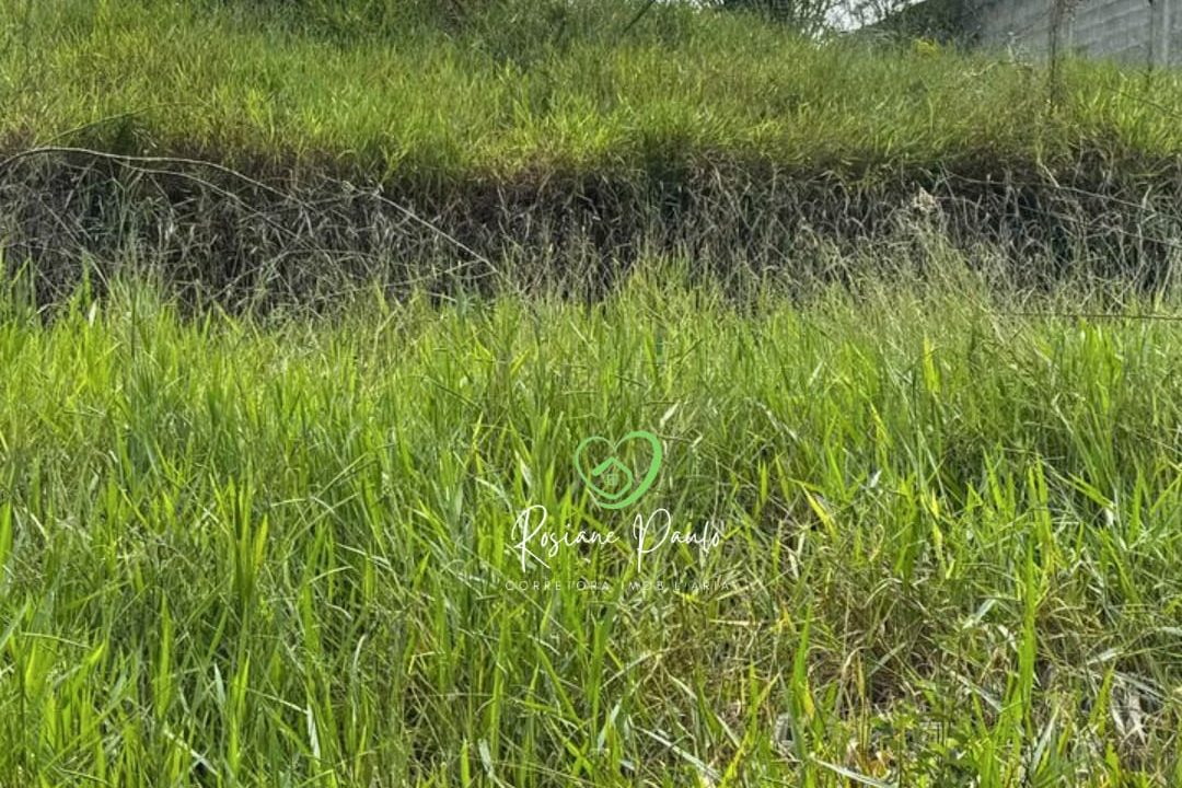 WhatsApp Image 2025-03-31 at 16.54.15 (1)