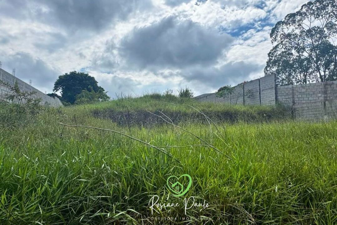 WhatsApp Image 2025-03-31 at 16.54.15