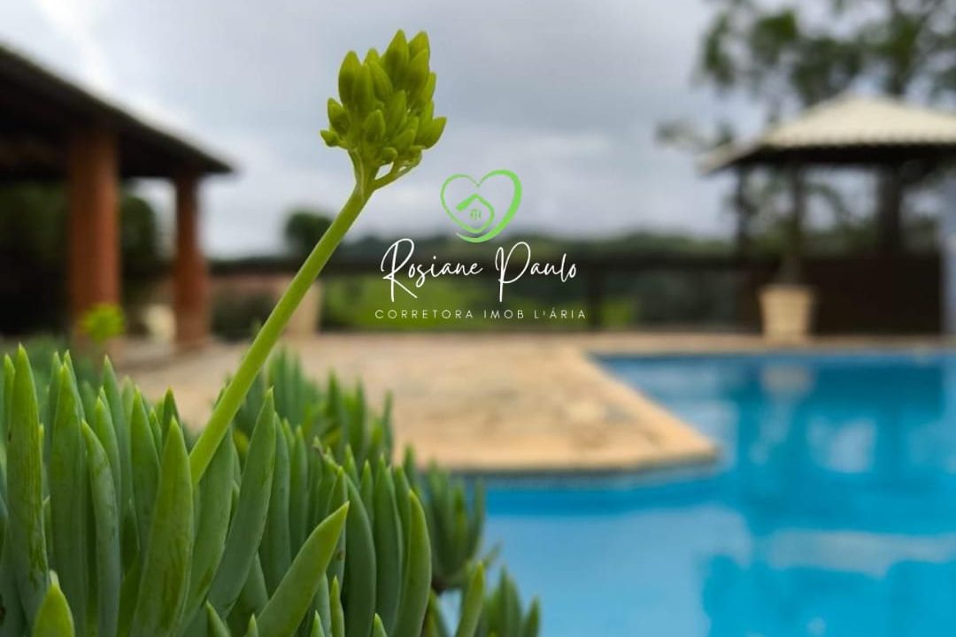 WhatsApp Image 2025-05-26 at 12.50.03