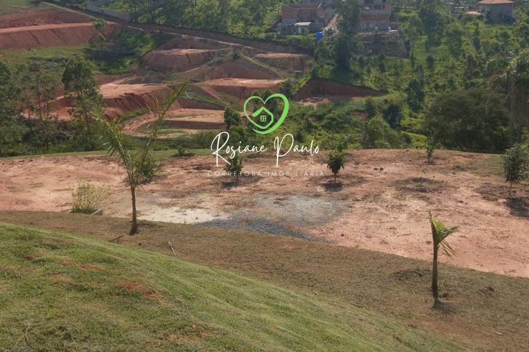 WhatsApp Image 2025-07-03 at 11.57.29