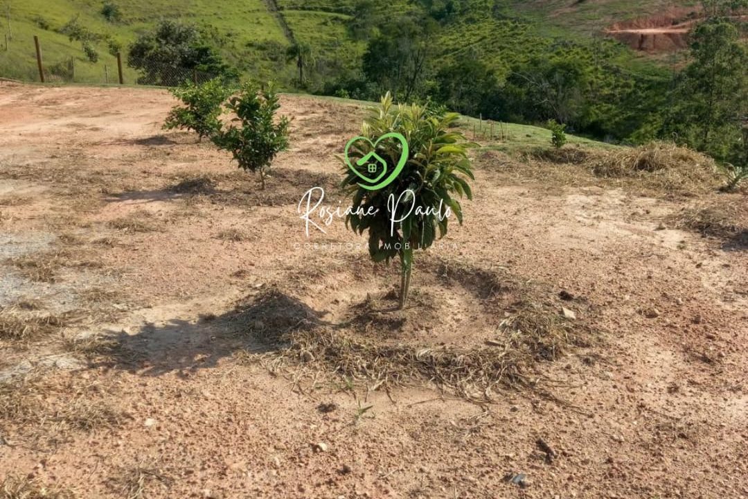 WhatsApp Image 2025-07-03 at 11.57.31 (1)