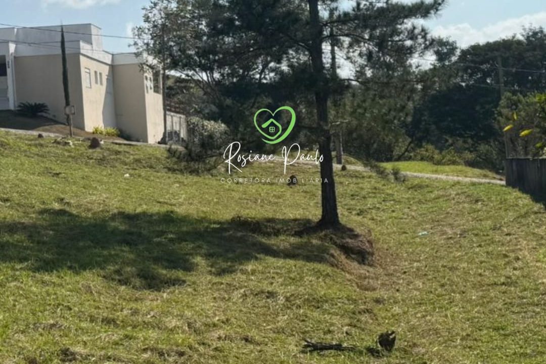 WhatsApp Image 2025-07-22 at 21.17.32 (1)