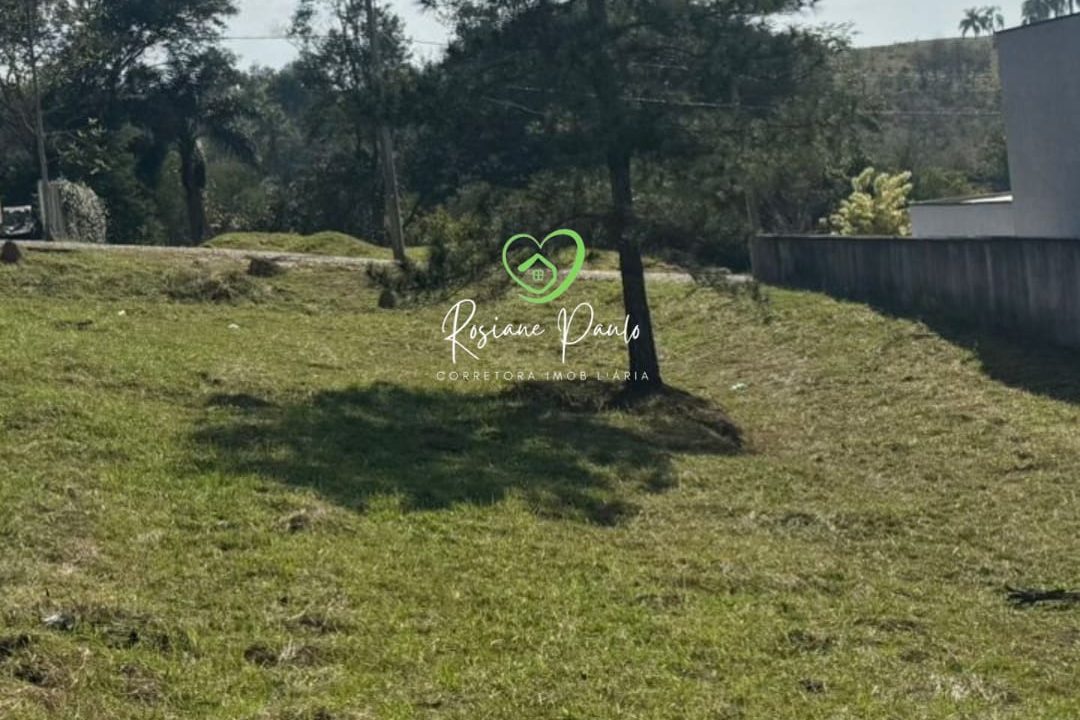 WhatsApp Image 2025-07-22 at 21.17.33