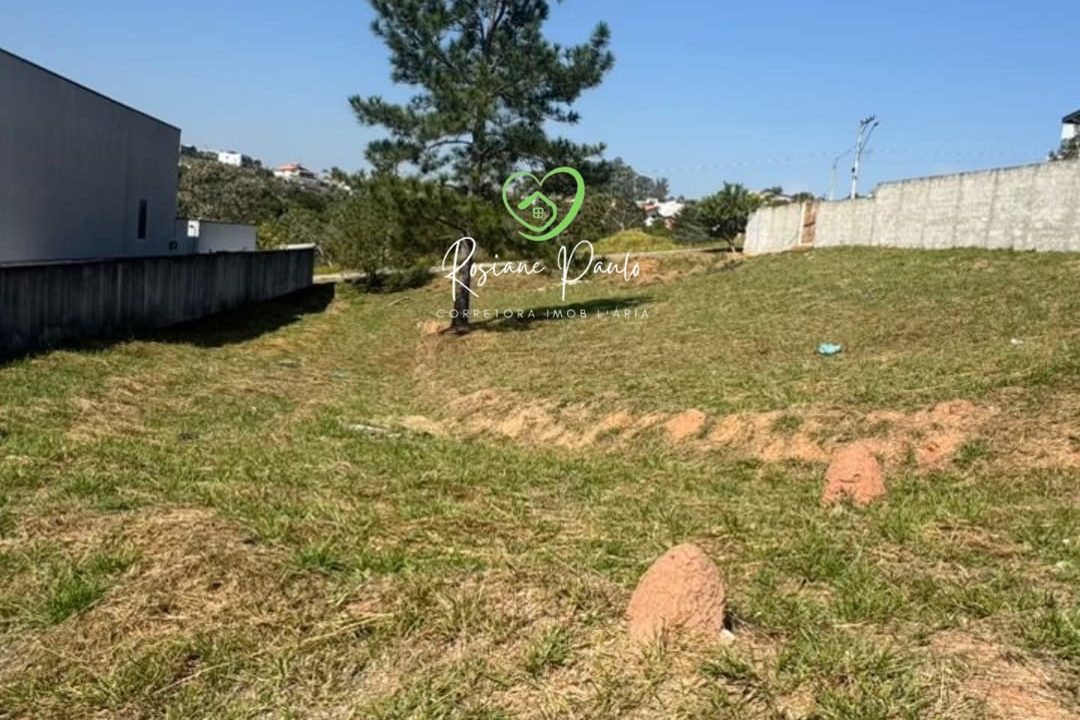 WhatsApp Image 2025-07-22 at 21.17.34