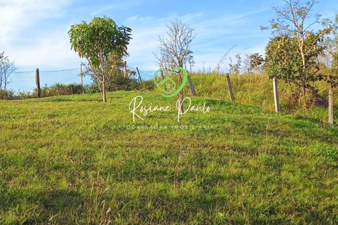 WhatsApp Image 2025-08-12 at 14.53.48