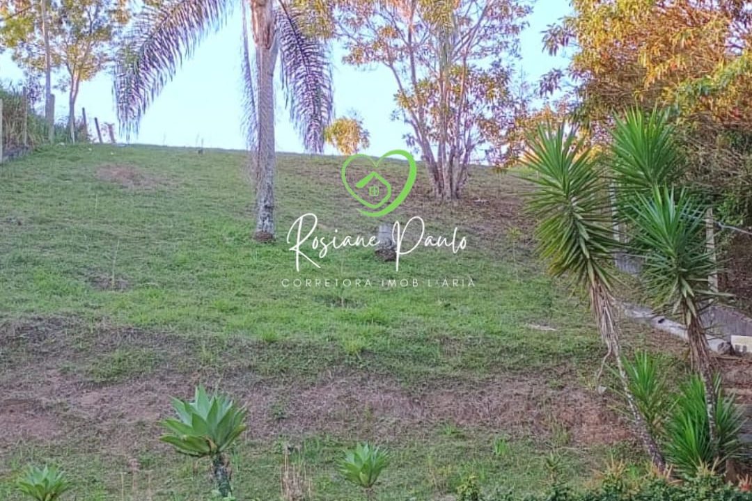 WhatsApp Image 2025-08-12 at 14.53.50 (3)