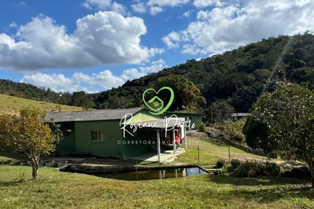 WhatsApp Image 2025-08-13 at 14.43.12