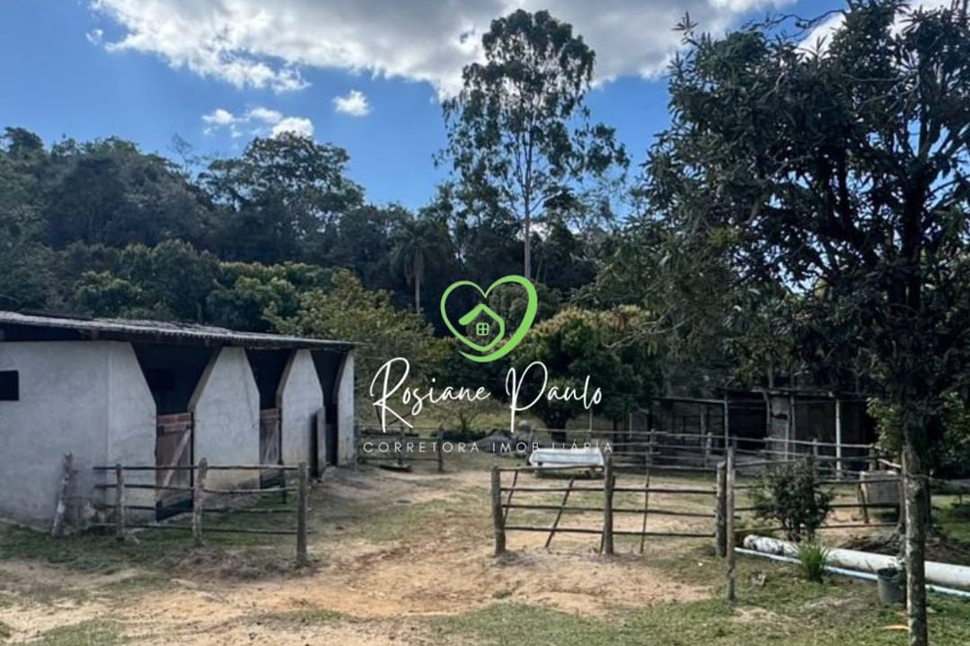 WhatsApp Image 2025-08-13 at 14.43.19 (1)