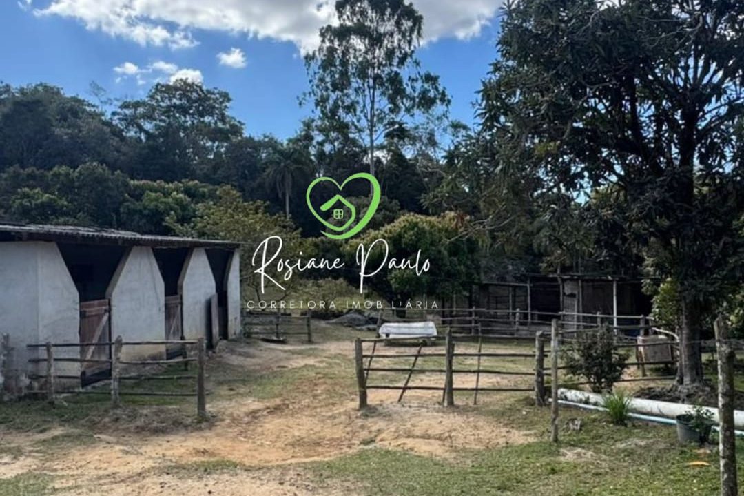 WhatsApp Image 2025-08-13 at 14.43.20 (1)