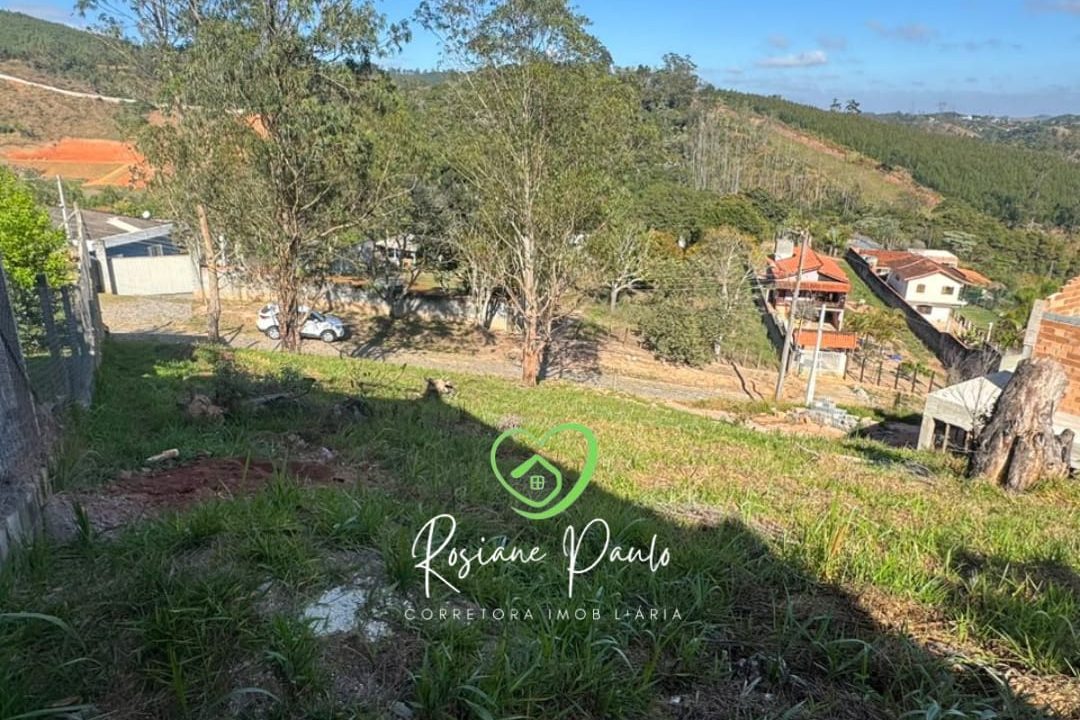 WhatsApp Image 2025-09-03 at 10.43.52