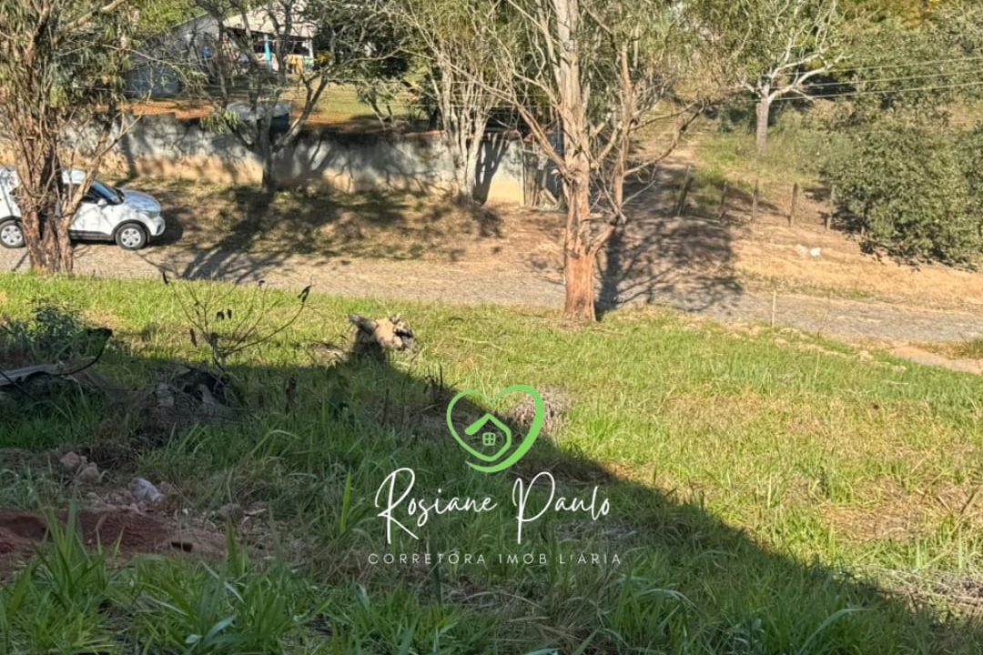 WhatsApp Image 2025-09-03 at 10.43.53