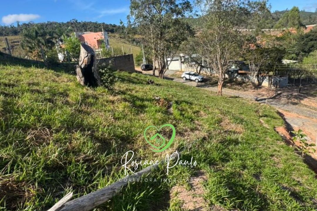 WhatsApp Image 2025-09-03 at 10.43.55 (1)