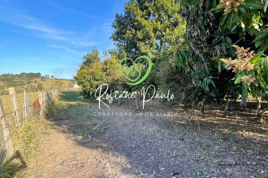 WhatsApp Image 2025-09-10 at 16.38.28 (1)