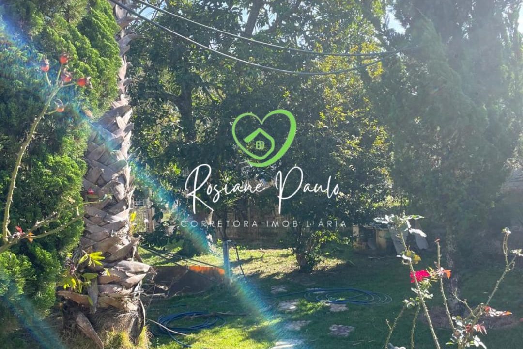 WhatsApp Image 2025-09-10 at 16.38.33