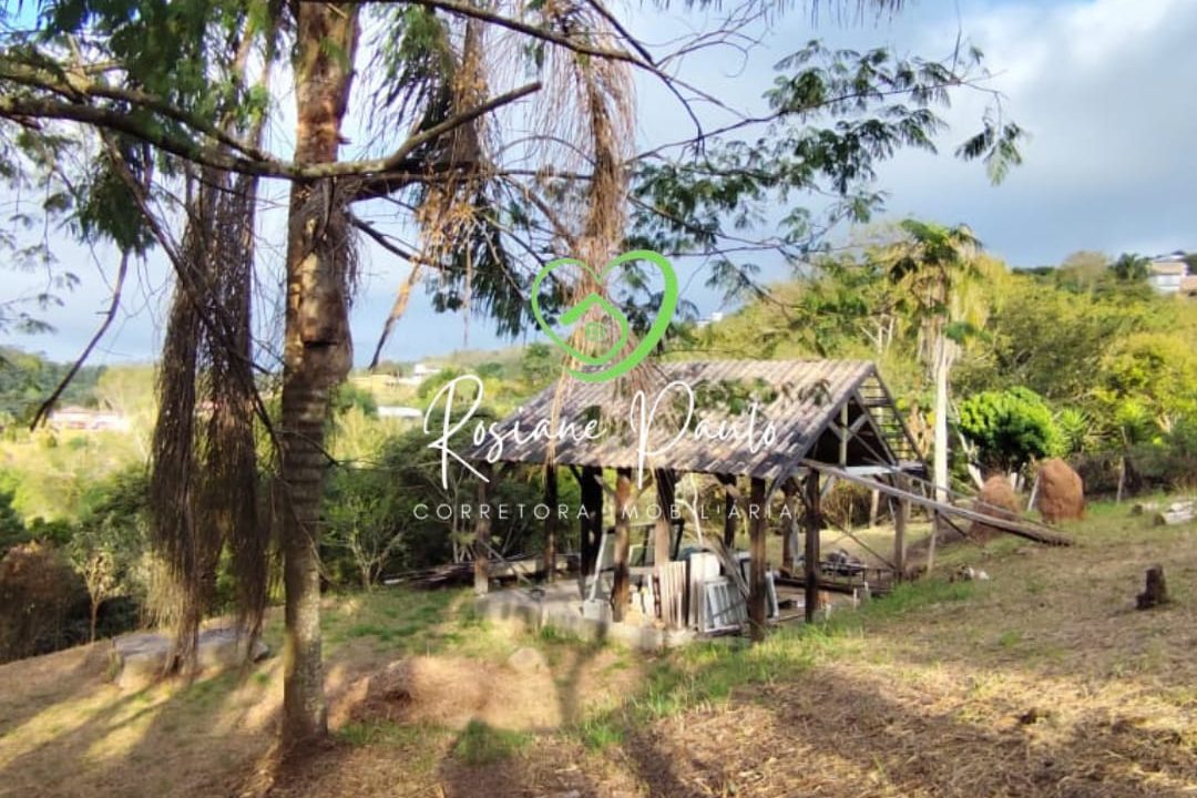 WhatsApp Image 2025-10-17 at 11.43.36