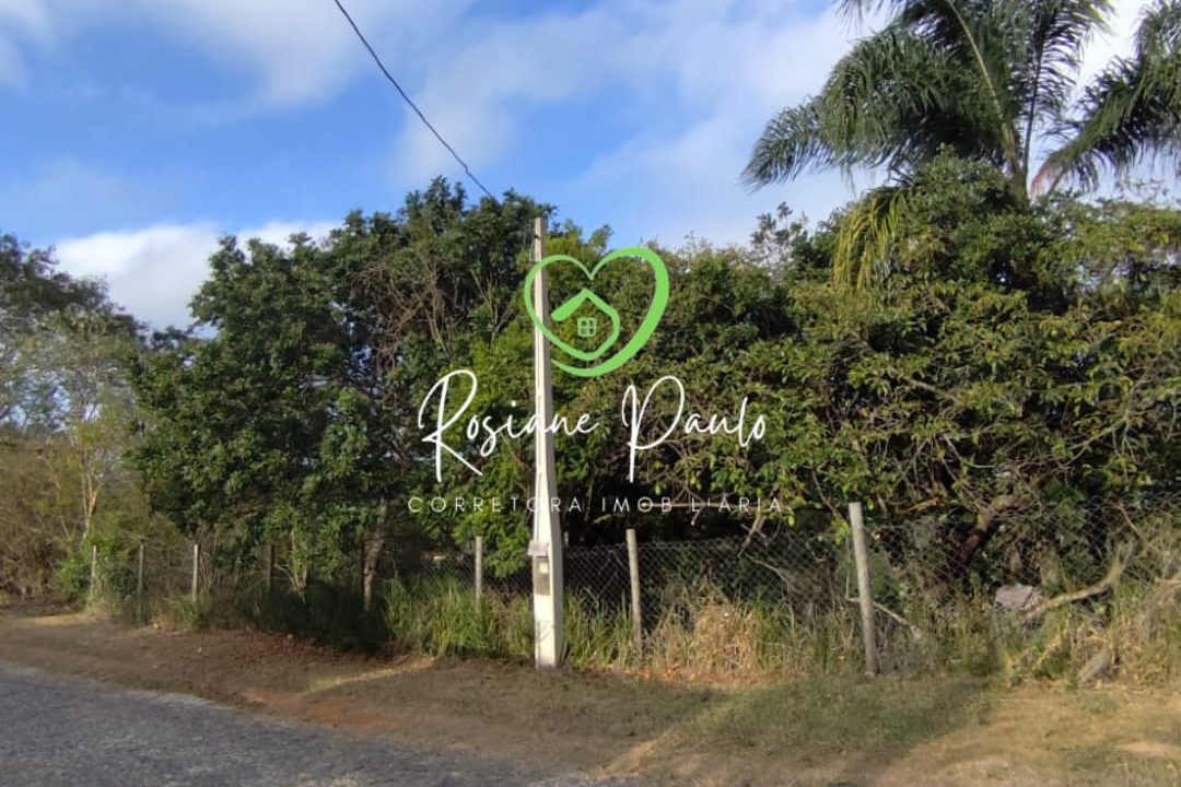 WhatsApp Image 2025-10-17 at 11.43.37 (1)