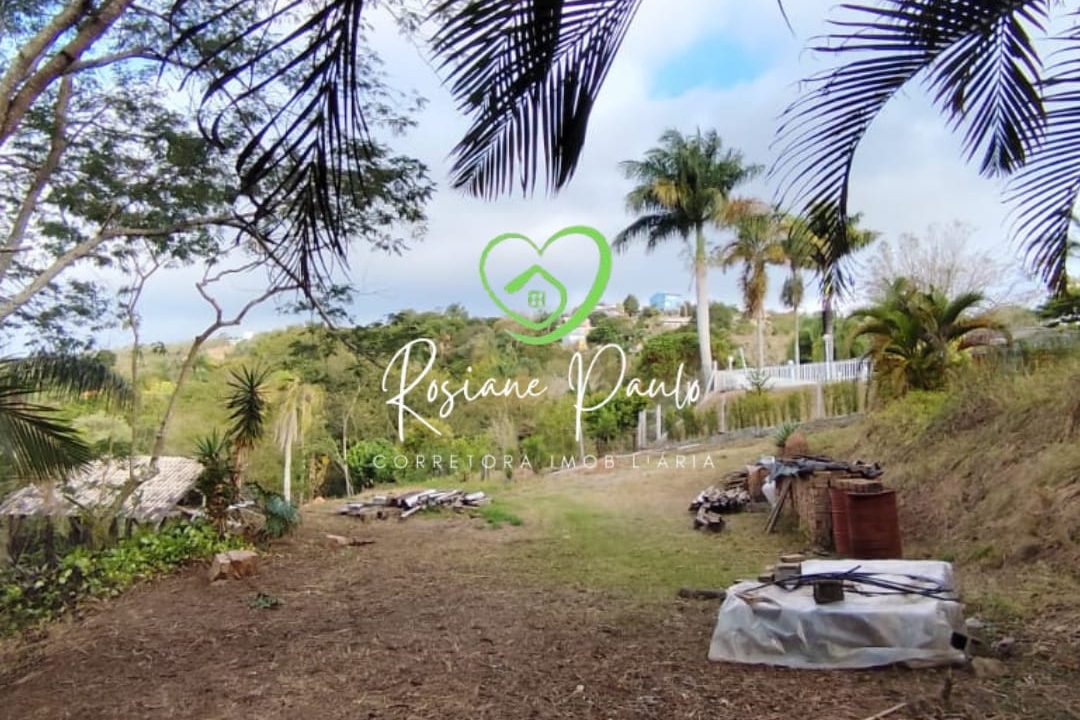 WhatsApp Image 2025-10-17 at 11.43.37 (3)