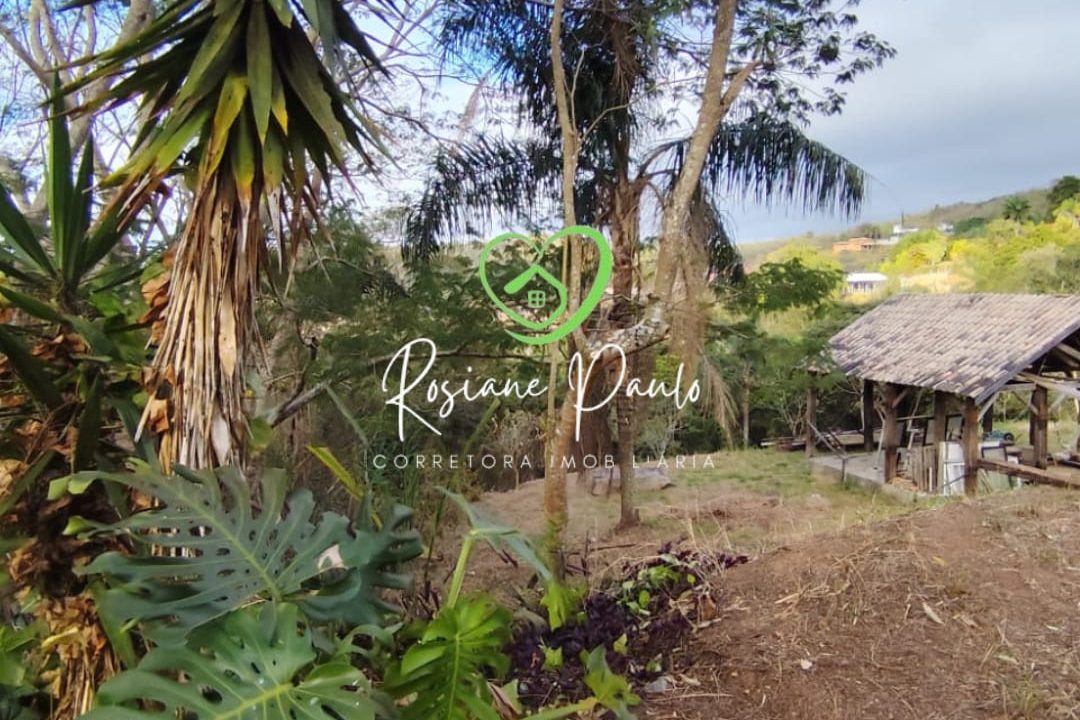 WhatsApp Image 2025-10-17 at 11.43.38