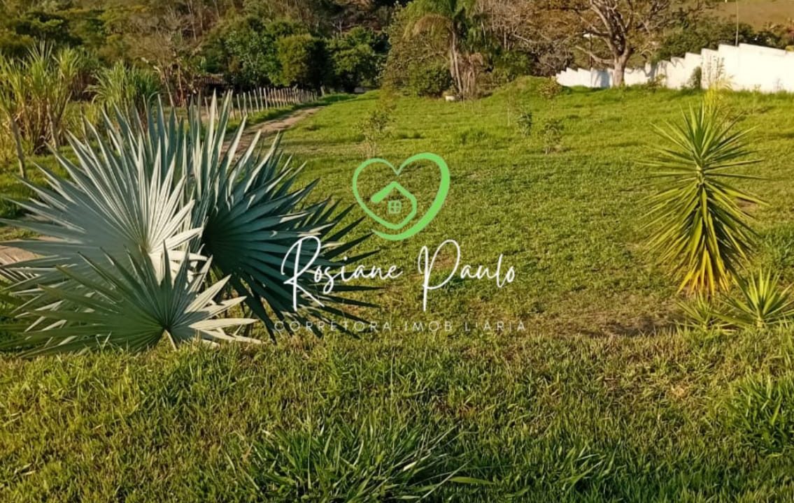 WhatsApp Image 2025-11-14 at 10.34.27 (1)