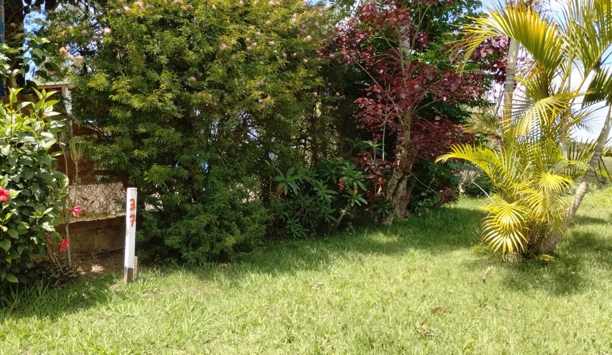 WhatsApp Image 2025-12-02 at 10.27.29