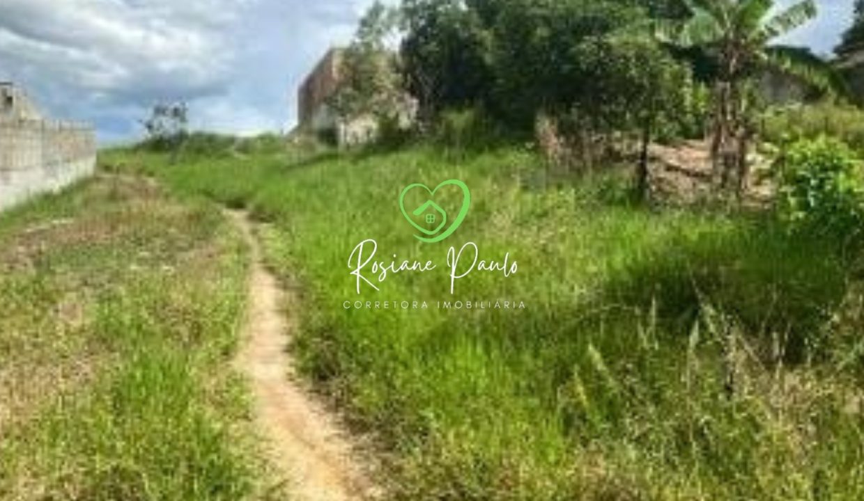 WhatsApp Image 2025-12-10 at 09.56.38