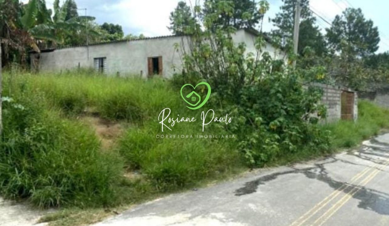 WhatsApp Image 2025-12-10 at 09.56.42