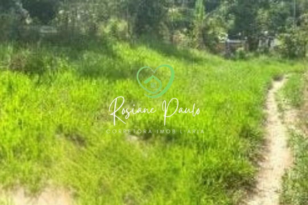 WhatsApp Image 2025-12-10 at 10.58.17