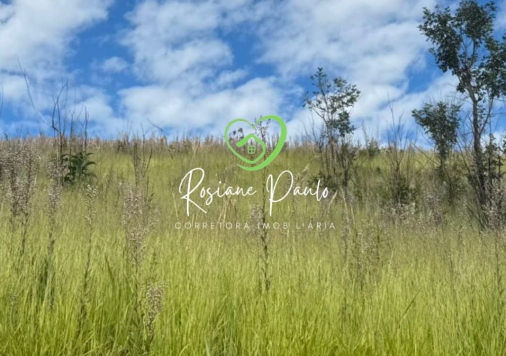 WhatsApp Image 2025-12-18 at 17.44.48 (1)