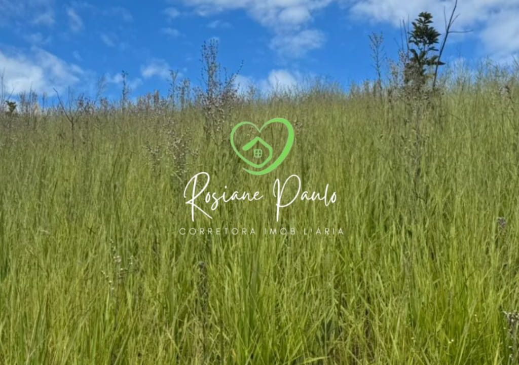 WhatsApp Image 2025-12-18 at 17.44.49 (1)