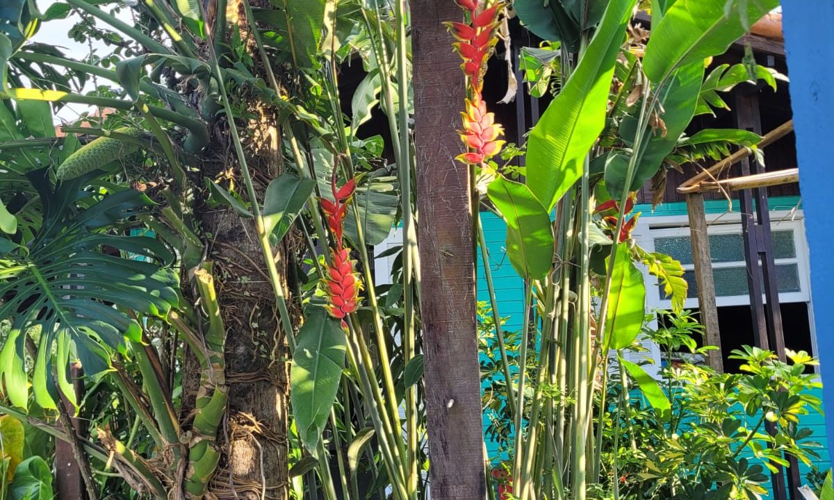 WhatsApp Image 2026-01-28 at 11.40.45 (5)