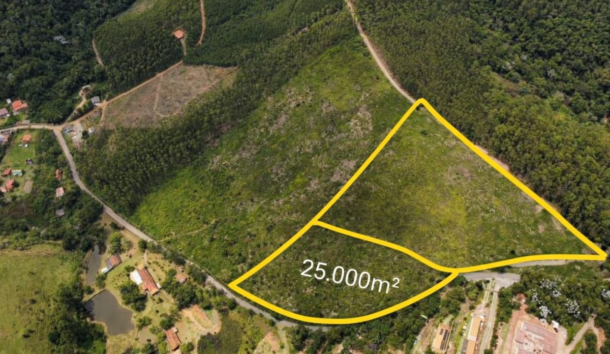 WhatsApp Image 2026-01-31 at 16.22.21