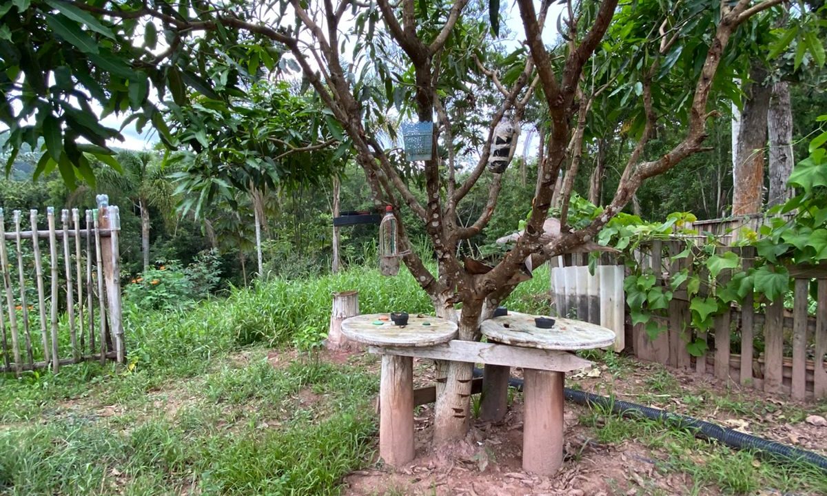 WhatsApp Image 2026-03-06 at 14.31.32 (1)