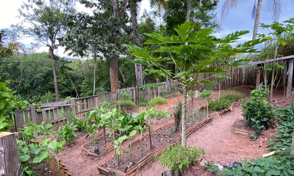 WhatsApp Image 2026-03-06 at 14.31.32