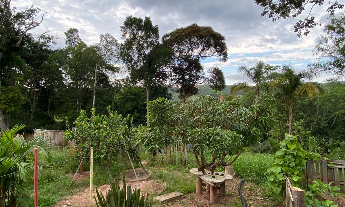 WhatsApp Image 2026-03-06 at 14.31.33 (2)