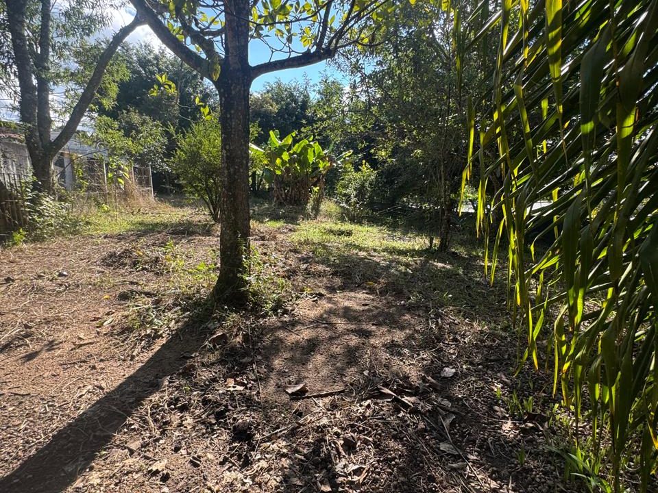 WhatsApp Image 2026-03-30 at 11.41.05 (1)