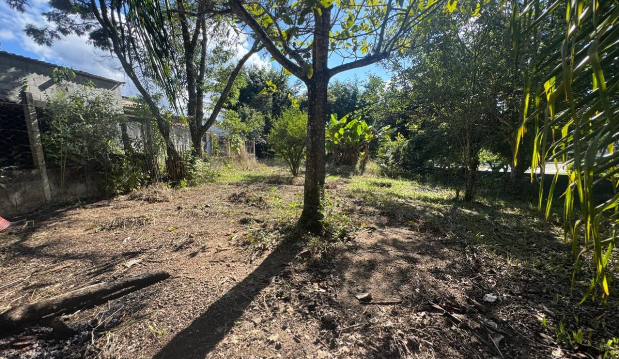 WhatsApp Image 2026-03-30 at 11.41.05 (2)